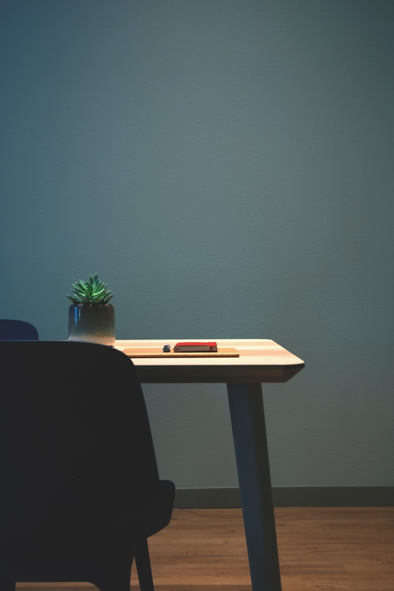succulent plant on desk
